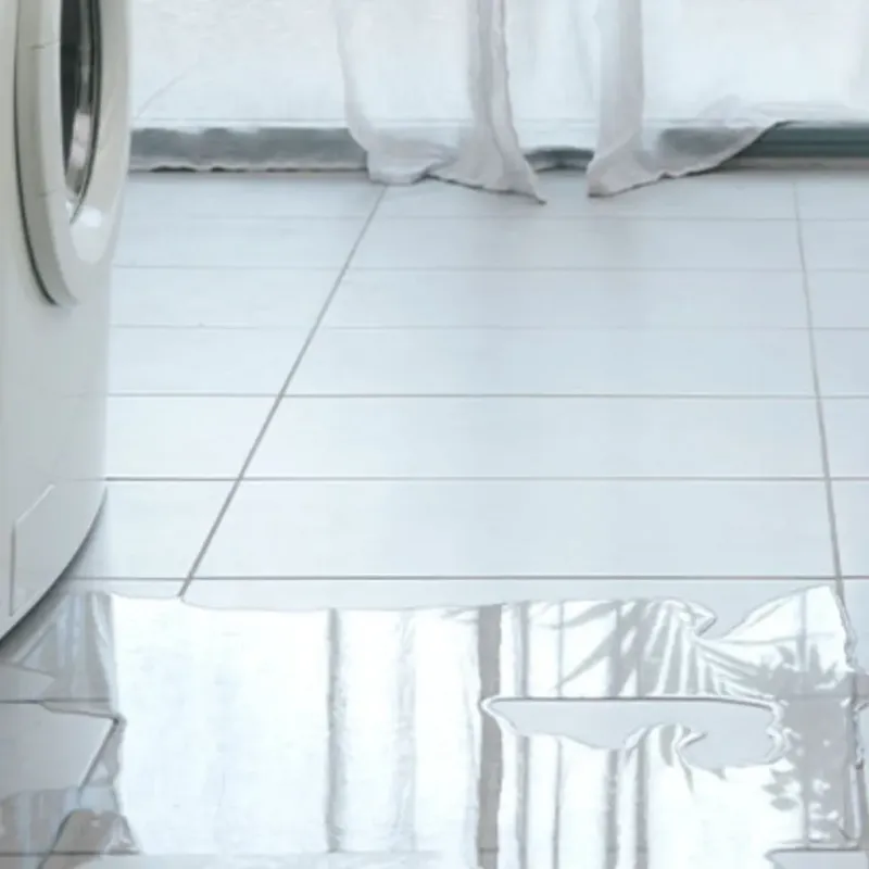 Appliance Leak Cleanup in Augusta, AR